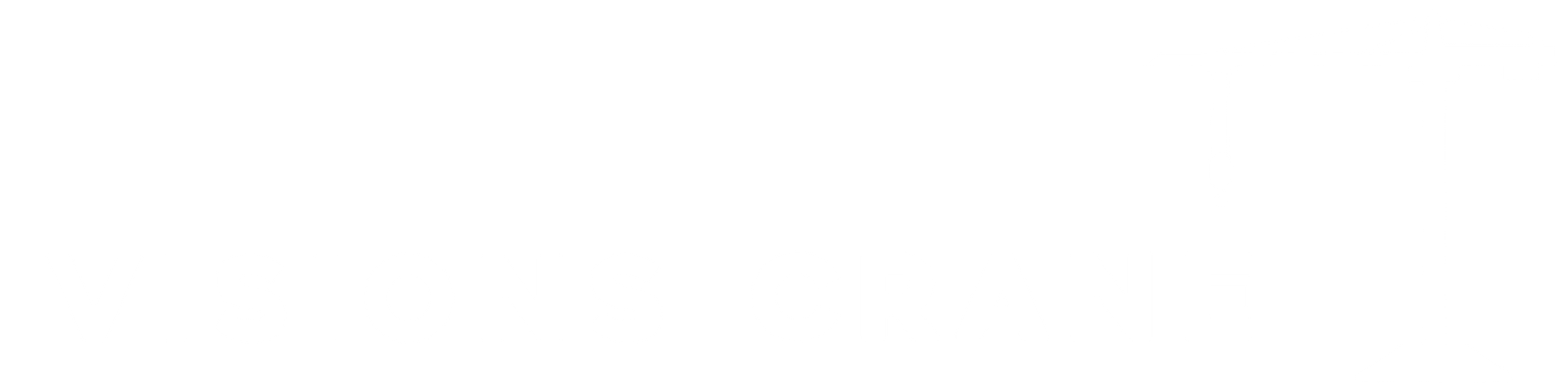 visions crane
